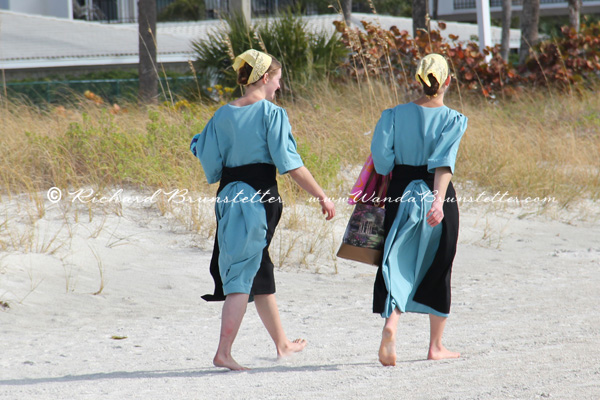Amish Sisters